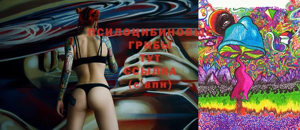 молекула духа Абинск