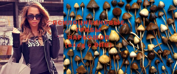 гидра Абдулино
