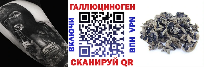 мориарти как зайти  Яблоновский  Галлюциногенные грибы прущие грибы 